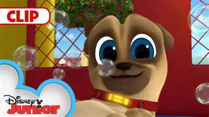 Do Bob and Ana get married in Puppy Dog Pals?