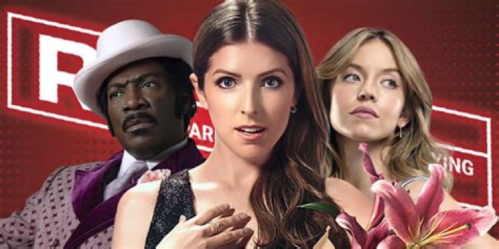 Netflix 有 R 级电影吗？