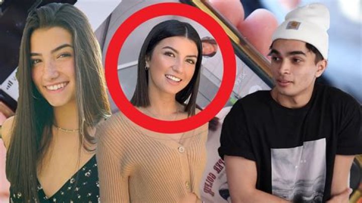 Does Charli D’Amelio have twin? – Celebrity.fm – #1 Official Stars, Business & People Network, Wiki, Success story, Biography & Quotes