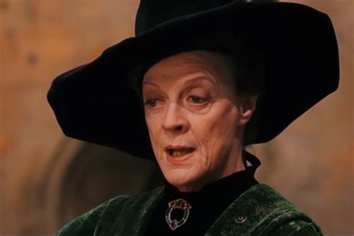 Does Professor McGonagall like Harry?