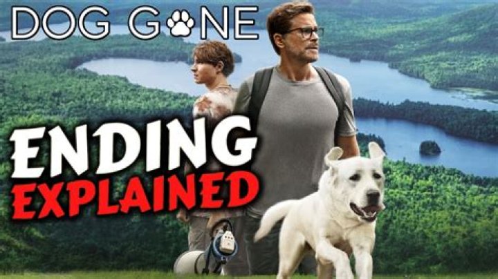 Dog Gone ending explained: Did Fielding and John find their dog?