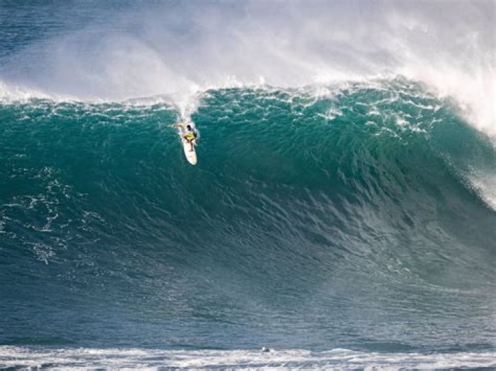Eddie Aikau (Surfer) - Age, Birthday, Bio, Facts, Family, Net Worth, Height & More