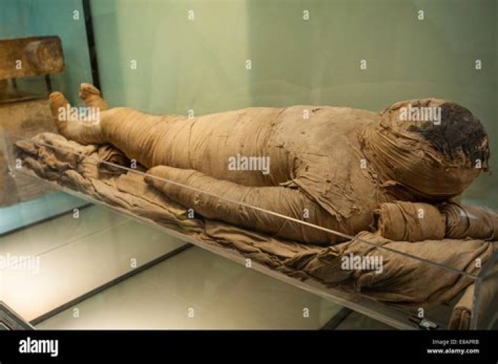 5,600-Year-Old Mummy Upends Notions About Ancient Egyptian Embalming