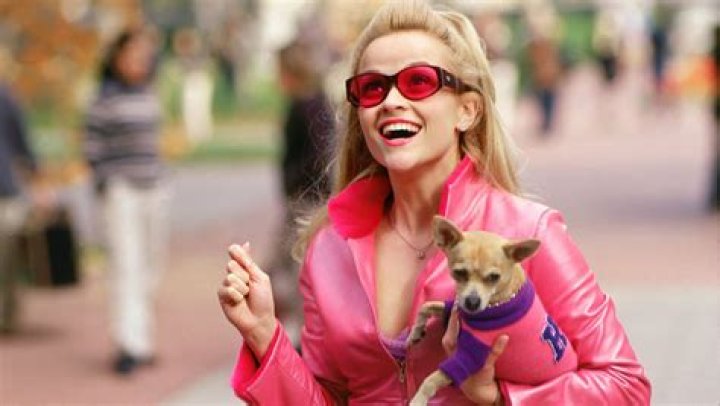 8 Signs You’re the Elle Woods of Last Minute Holiday Shopping!