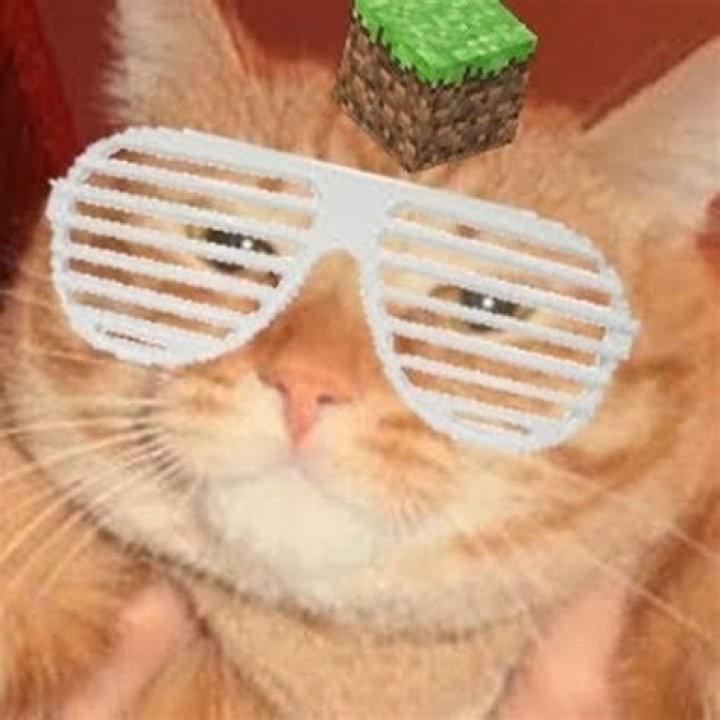 ElrubiusOMG - CelebNetWorth