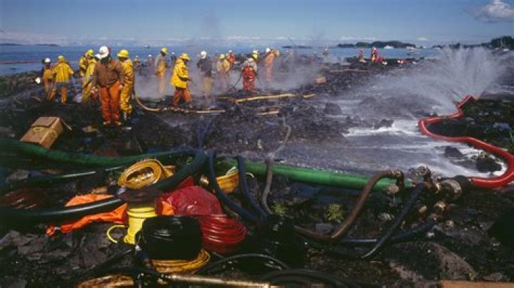 The Exxon Valdez Oil Spill In 33 Devastating Photos