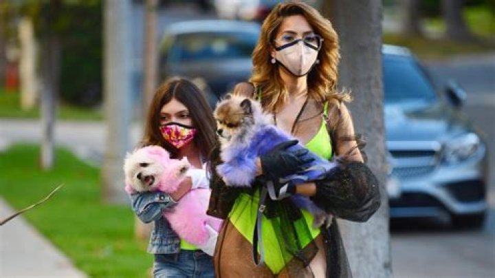 Farrah Abraham Rocks a Neon Swimsuit While Stepping Out With Daughter Sophia in Face Masks