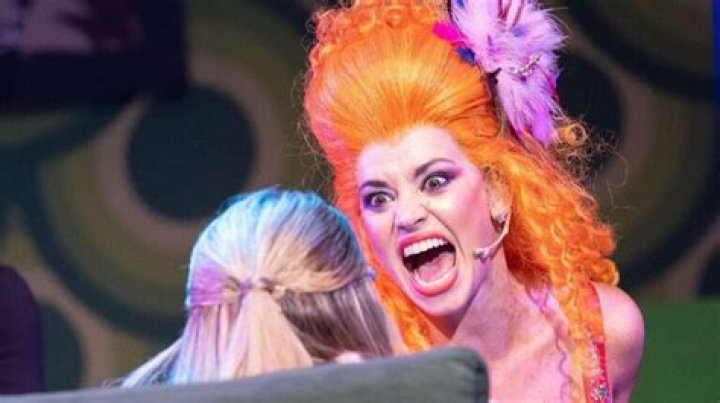 Fernanda Metilli (Comediante) - Edad, cumpleaños, biografía, hechos, familia, patrimonio neto, altura y más