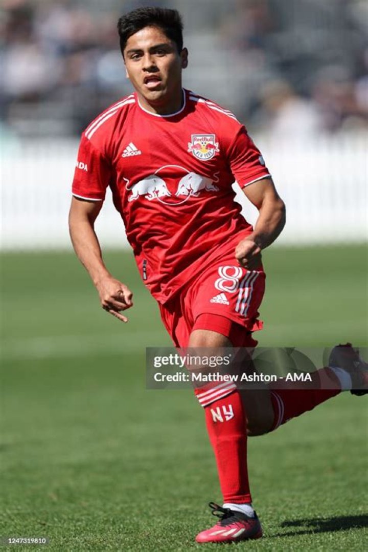 Frankie Amaya Biography, Age, Height, Wife, Net Worth, Family