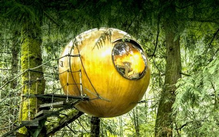 The Free Spirit Spheres Of Vancouver Island
