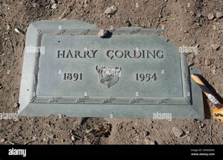 Harry Cording Biography, Age, Height, Wife, Net Worth, Family