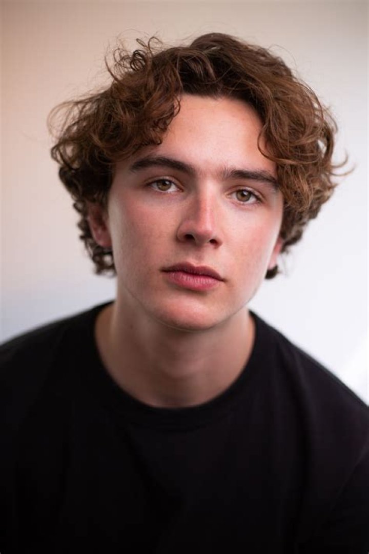 Harry Gilby Biography, Wiki, Height, Age, Net Worth, Girlfriend, Family, Ethnicity, Movies & More