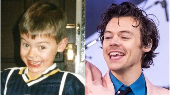 Harry Styles’ Transformation From 1D to Now Is What Makes Him Beautiful — See His Evolution!