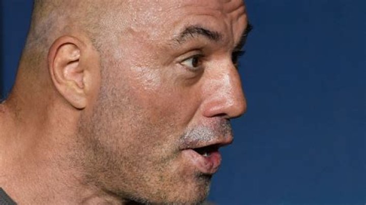 Has anyone died Fear Factor? – Celebrity.fm – #1 Official Stars, Business & People Network, Wiki, Success story, Biography & Quotes