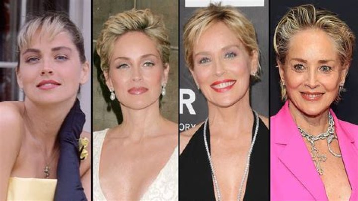 Has Sharon Stone Undergone Plastic Surgery? Her Transformation, What Work She’s Revealed