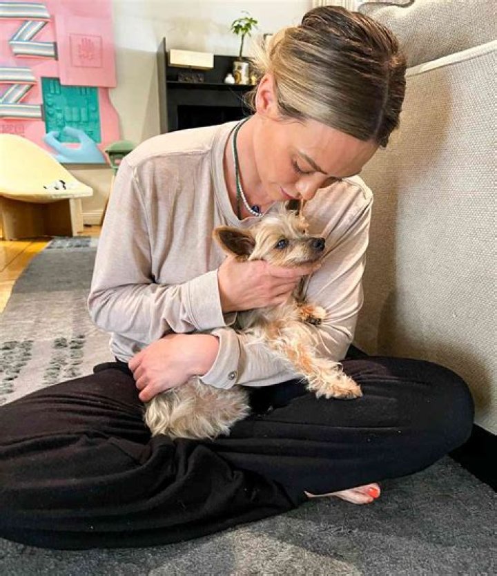 Hilary Duff Mourns the Death of Her Beloved French Bulldog Beau