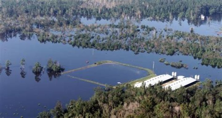 Hog Waste Lagoons Could Overflow During Hurricane Florence