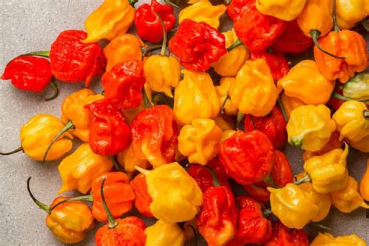 What Is The Hottest Pepper In The World?
