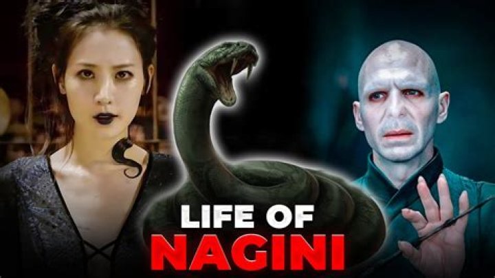 How did Voldemort get Nagini? – Celebrity.fm – #1 Official Stars, Business & People Network, Wiki, Success story, Biography & Quotes
