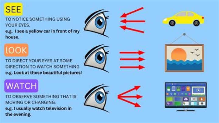 ¿Cómo veo See? – Celebrity.fm