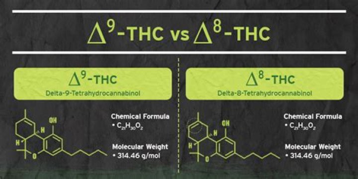 Sponsored ContentHow Is Delta-8 THC Made?  