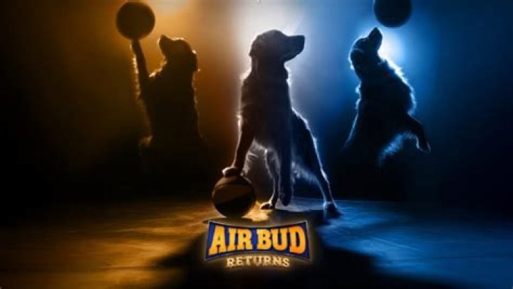 How many dogs died filming Air Bud? – Celebrity.fm – #1 Official Stars, Business & People Network, Wiki, Success story, Biography & Quotes