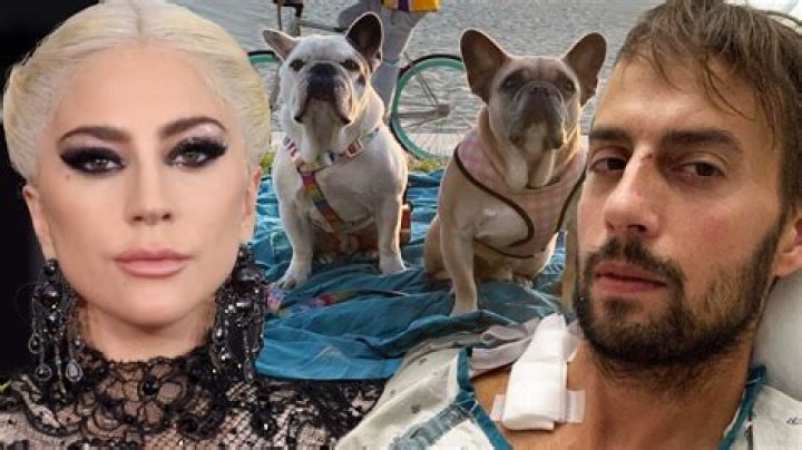 How many dogs does Lady Gaga have? – Celebrity.fm – #1 Official Stars, Business & People Network, Wiki, Success story, Biography & Quotes