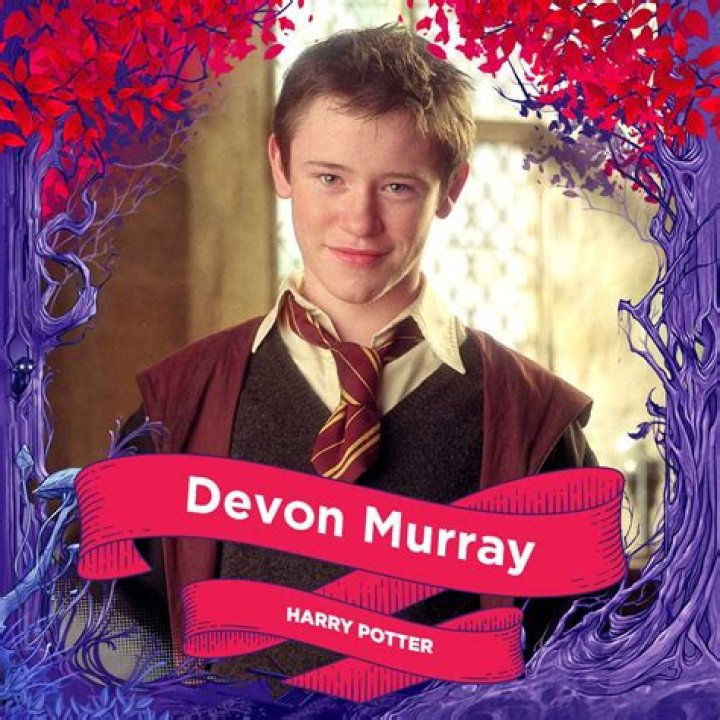 How much did Devon Murray get for Harry Potter?