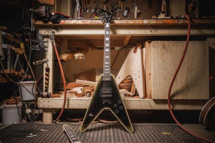 How much is Adam Jones of Tool worth? – Celebrity.fm – #1 Official Stars, Business & People Network, Wiki, Success story, Biography & Quotes