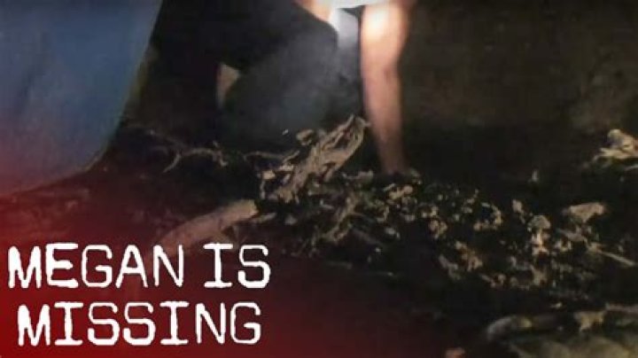 How much of Megan Is Missing is real footage?