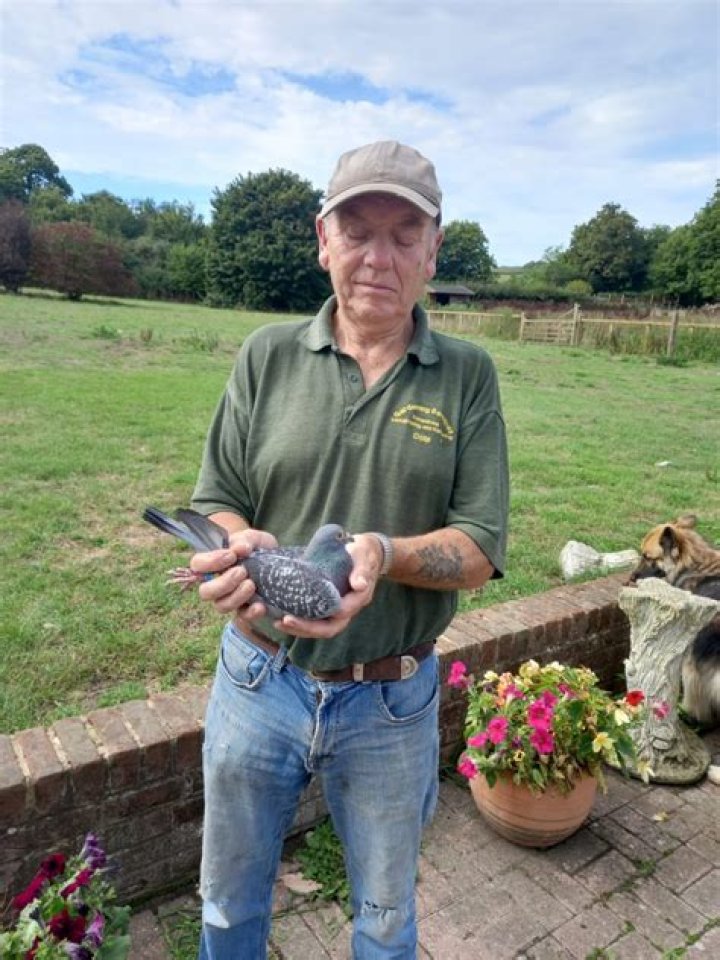 How old is Nicholas Fagg?