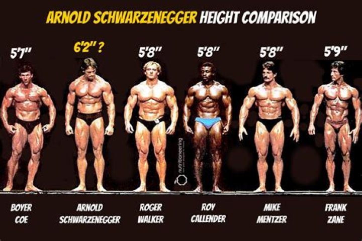 Qual é a altura de Arnold Schwarzenegger cm?