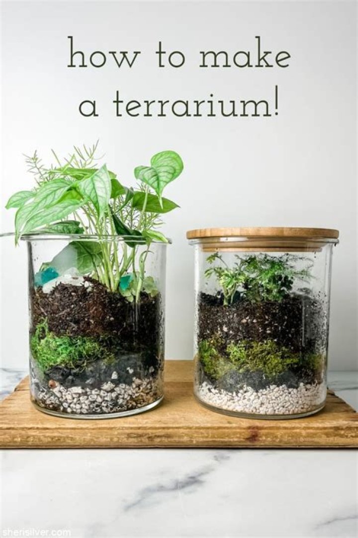Looking to Take Your Desk Decor to the Next Level? Here’s How to Make a Homemade Terrarium