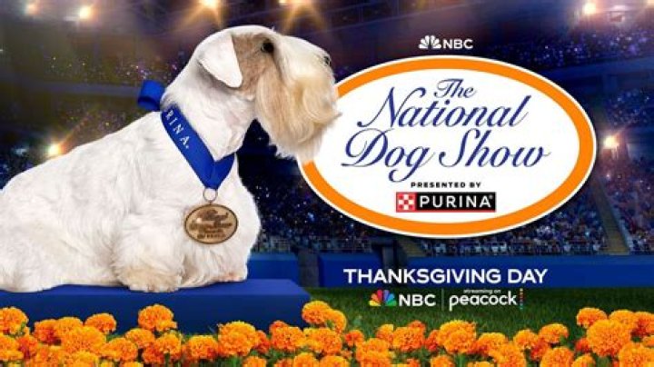 Here’s How to Best Enjoy the 2019 National Dog Show This Thanksgiving: Everything You Need to Know