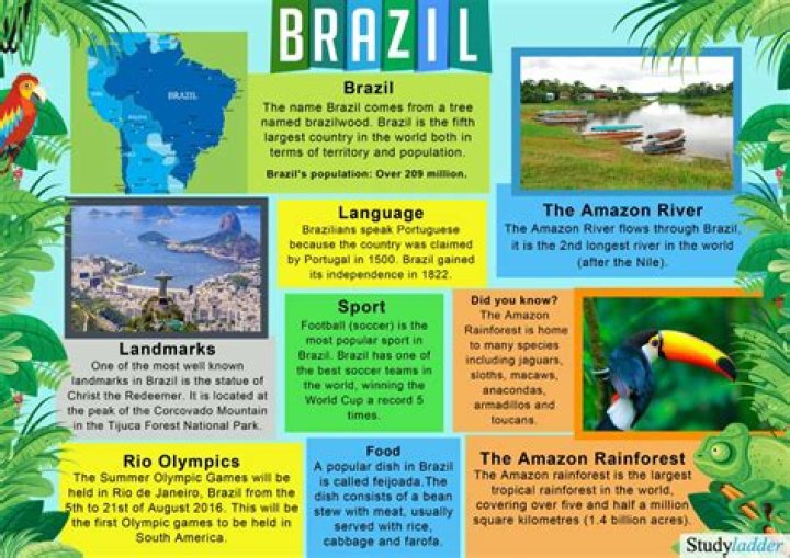 31 Interesting Facts About Brazil From The Forests To The Favelas
