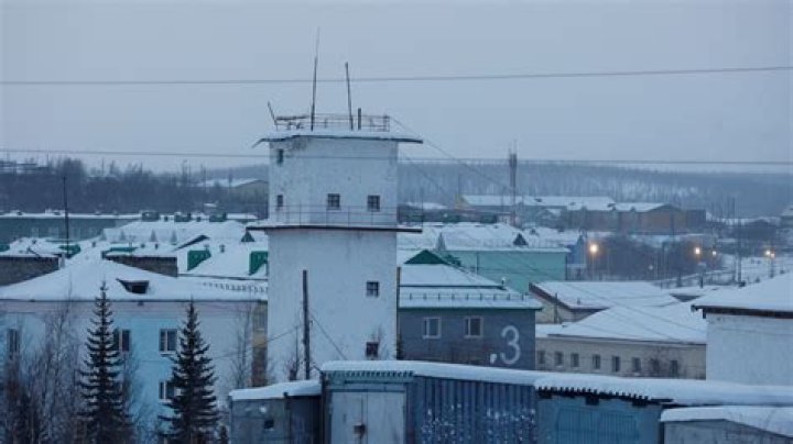 
Is Alexei Navalny In Prison? Find Out Where The Lawyer Is Now 