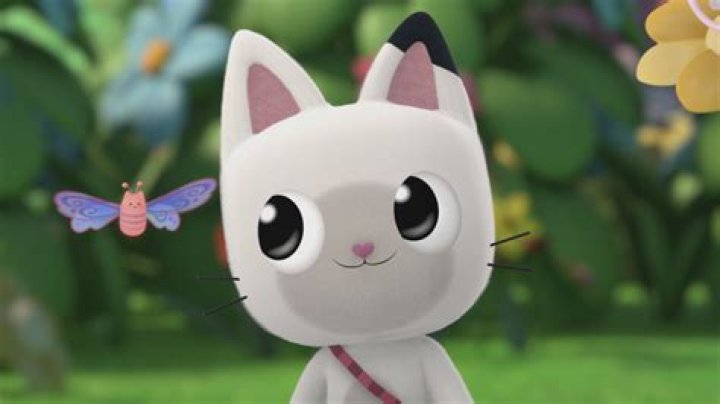 Is Amanda from panda paws still with Gary? – Celebrity.fm – #1 Official Stars, Business & People Network, Wiki, Success story, Biography & Quotes