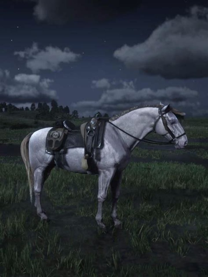 Is Amy short for Amelia? – Celebrity.fm – #1 Official Stars, Business & People Network, Wiki, Success story, Biography & Quotes