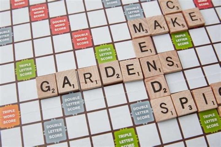 Is Coote a Scrabble word?