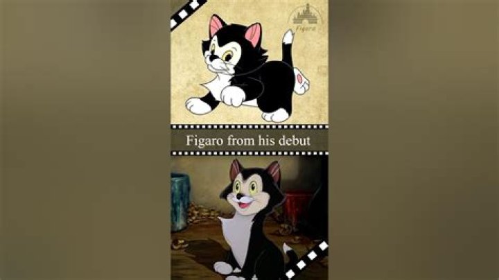 Is Disney’s Figaro a boy or girl? – Celebrity.fm – #1 Official Stars, Business & People Network, Wiki, Success story, Biography & Quotes