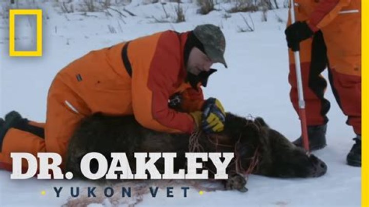 Is Dr Oakley Yukon vet Cancelled? – Celebrity.fm – #1 Official Stars, Business & People Network, Wiki, Success story, Biography & Quotes