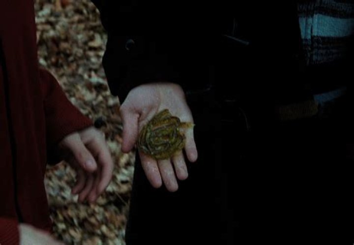 Is Gillyweed real? – Celebrity.fm – #1 Official Stars, Business & People Network, Wiki, Success story, Biography & Quotes