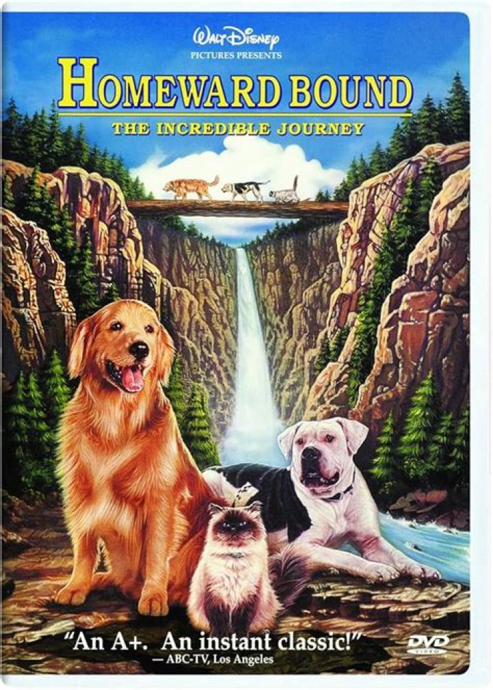 Is homeward bound on Netflix 2020? – Celebrity.fm – #1 Official Stars, Business & People Network, Wiki, Success story, Biography & Quotes