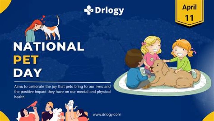 It’s National Pet Day! See Paris Hilton, Kylie Jenner, and More Celebs Posing with Their Fur Babies