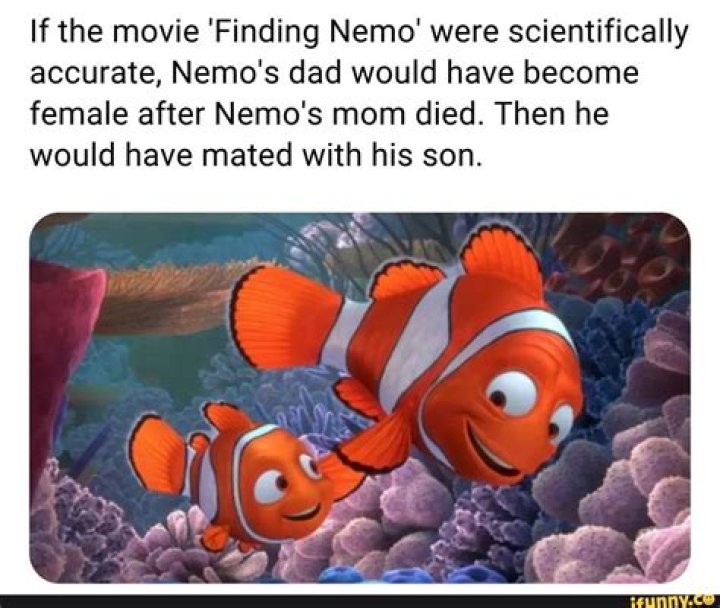 ¿El papá de Nemo es mujer? – Celebrity.fm