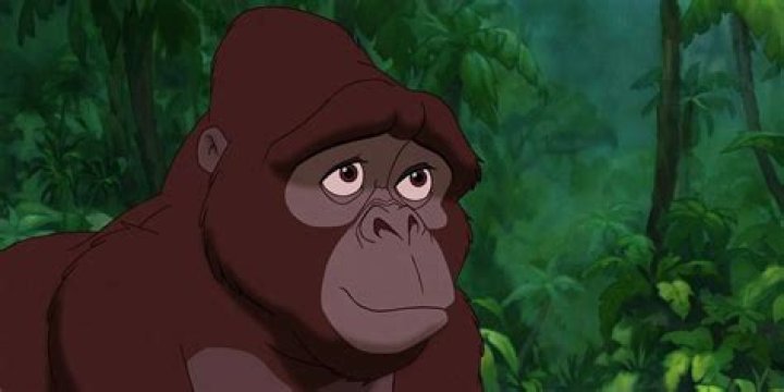 Is the gorilla in Tarzan a girl or boy?