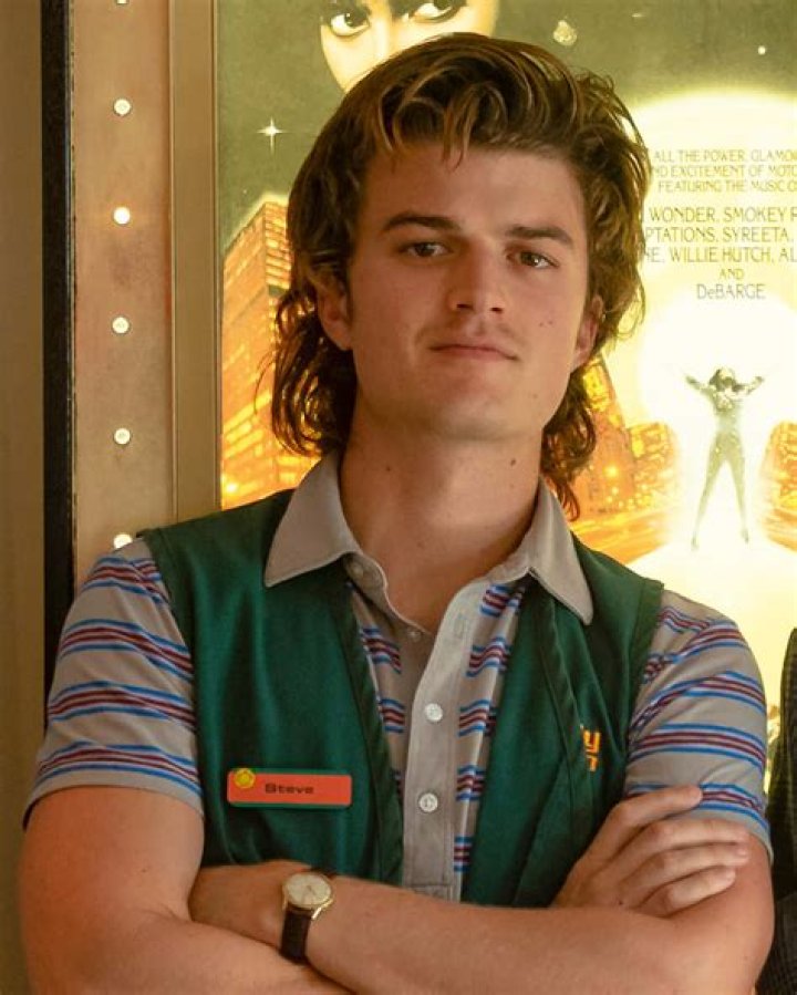 Is Troy Steve’s brother in Stranger Things?