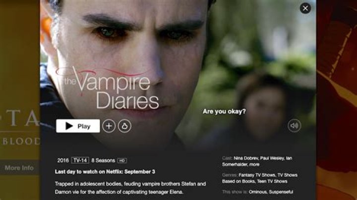 Is Vampire Diaries leaving Netflix? – Celebrity.fm – #1 Official Stars, Business & People Network, Wiki, Success story, Biography & Quotes