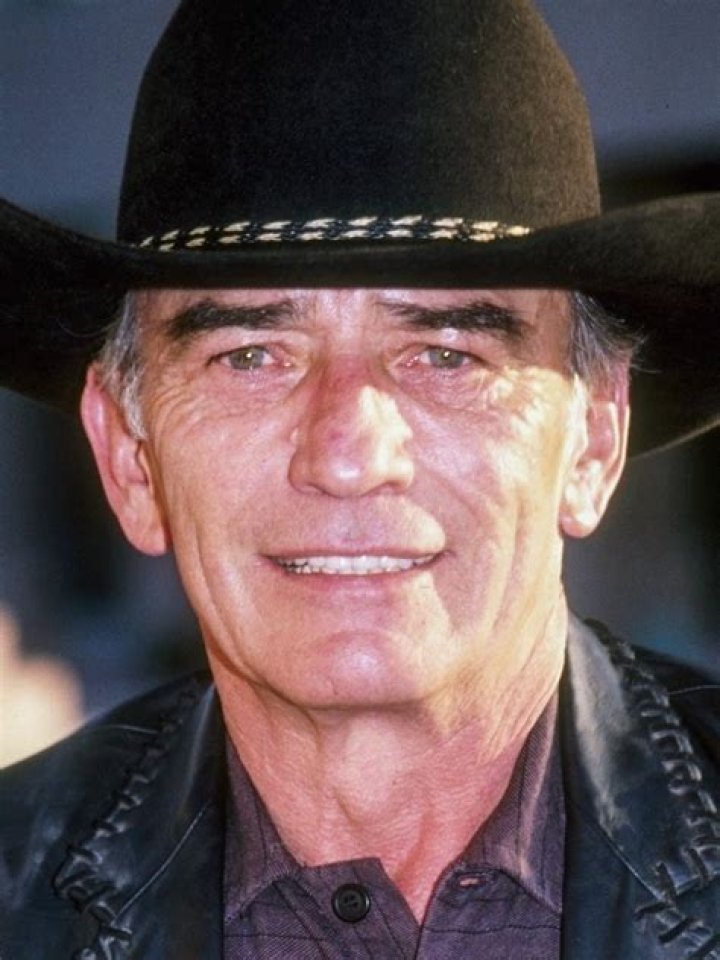 James Drury (Movie Actor) - Age, Birthday, Bio, Facts, Family, Net Worth, Height & More