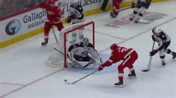 James van Riemsdyk Biography, Age, Height, Wife, Net Worth, Family